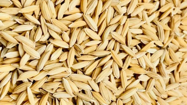 Zero Seeds Rice Seeds